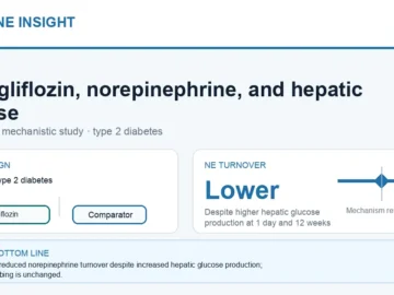 Hormone Insight visual abstract for empagliflozin, norepinephrine turnover, and hepatic glucose production in type 2 diabetes