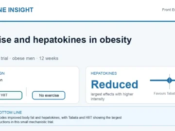 Hormone Insight visual abstract summarising exercise training and hepatokines in obese men.